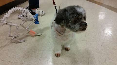 Banfield Pet Hospital Banfield Pet Hospital
